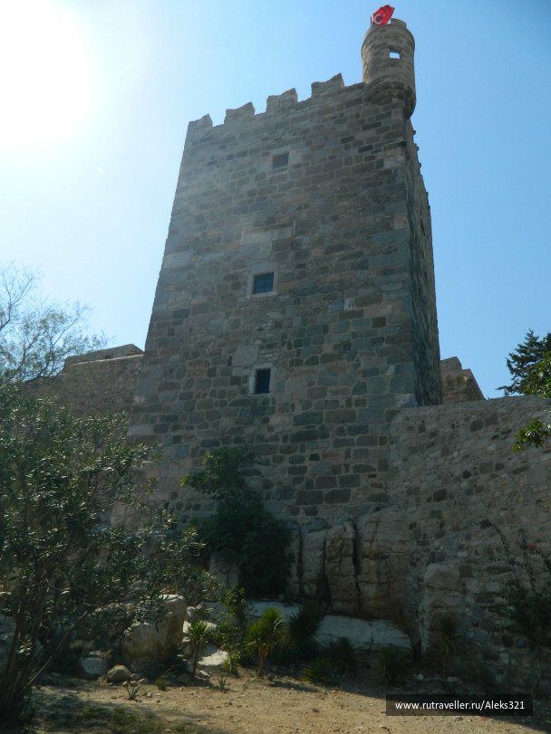 photo 462253