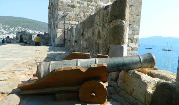 DSCN3665