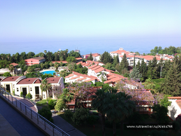 photo 445472