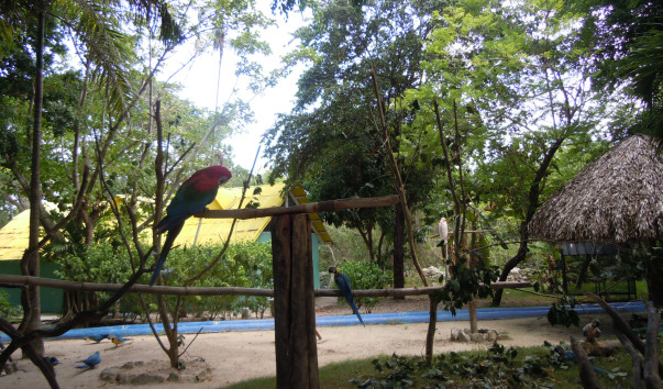 DSCN4512