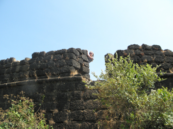 photo 1007884