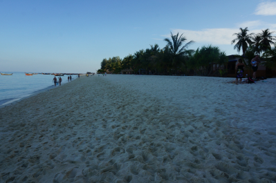 photo 1273377
