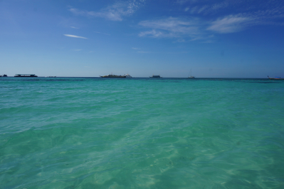 photo 1273512