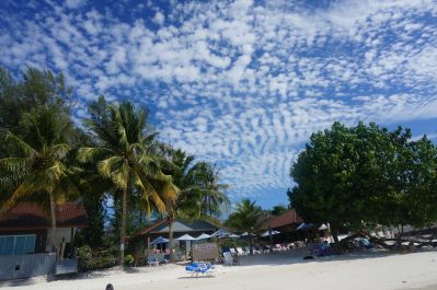 photo 1273514