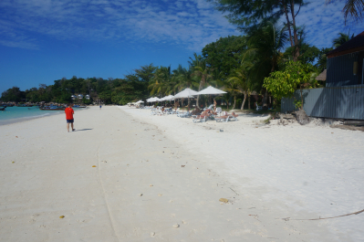 photo 1273517