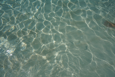 photo 1273532