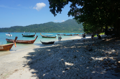 photo 1273647
