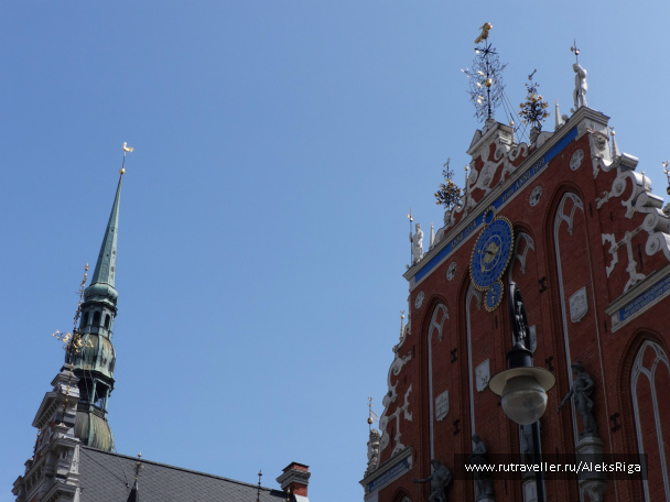 photo 445590