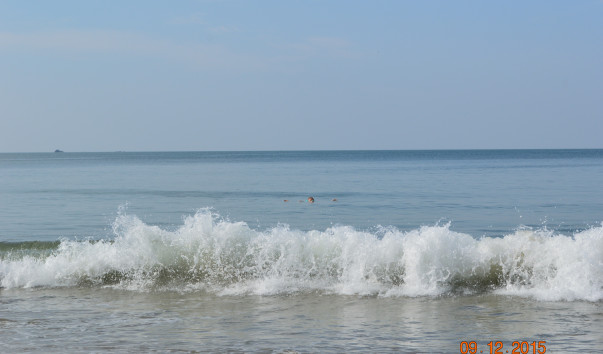 DSC_1137