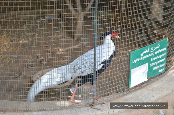 photo 1553361