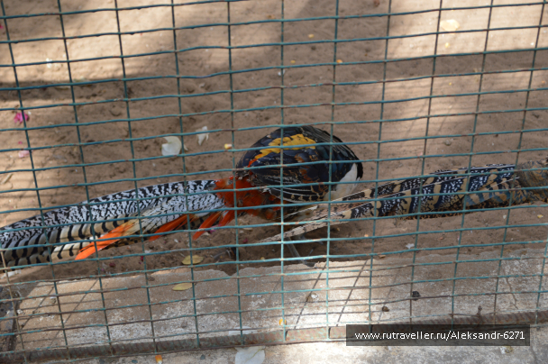 photo 1553362