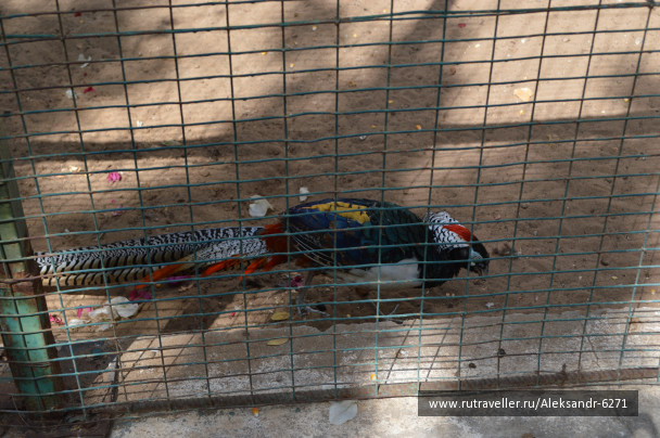 photo 1553363