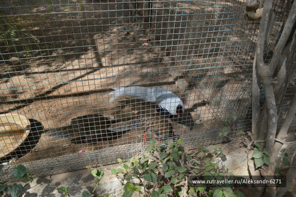 photo 1553364