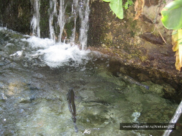 photo 129121