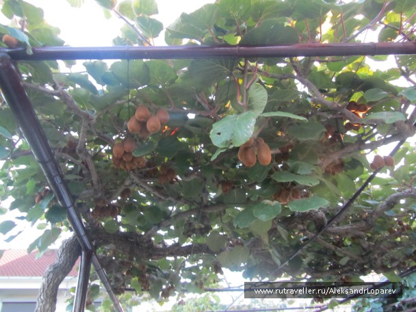 photo 922507