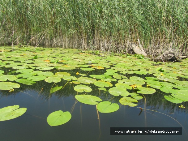 photo 922532