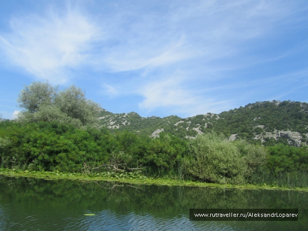 photo 922563
