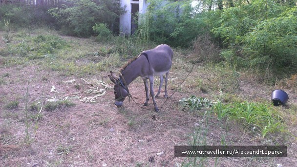 photo 922575