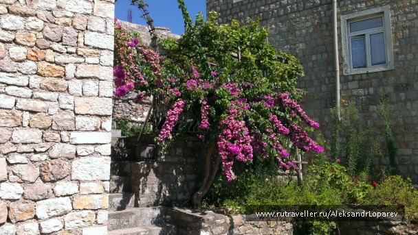 photo 922612