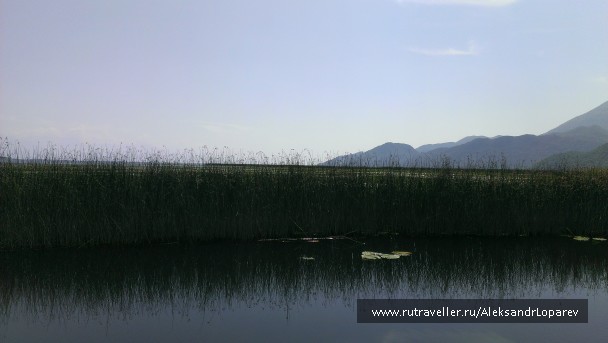photo 922639