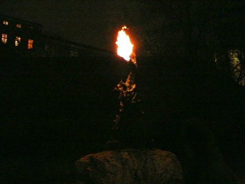 photo 916475