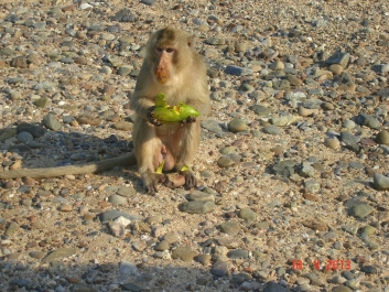 photo 955463