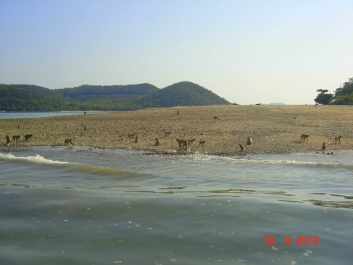 photo 955464