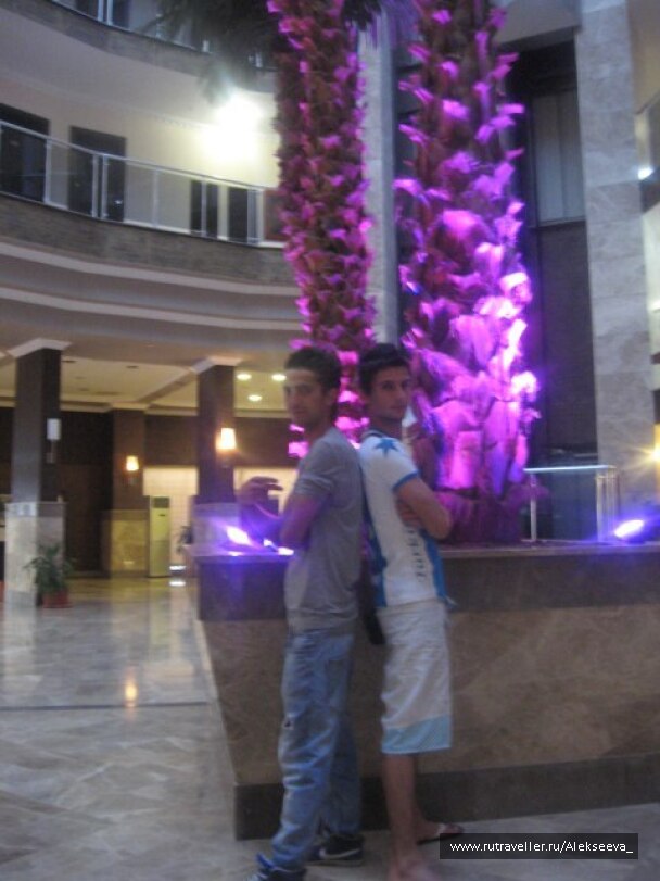 photo 103534