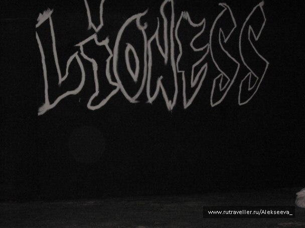 photo 103563