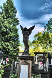 photo 1253152