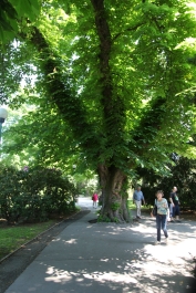photo 748303