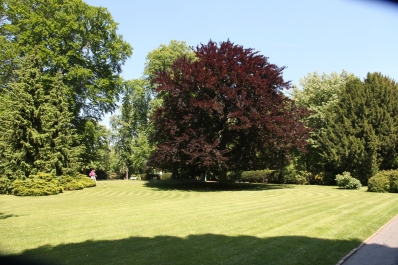 photo 748307