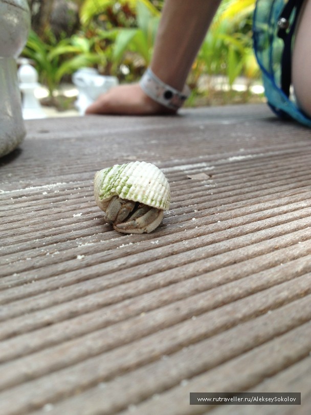 photo 853735