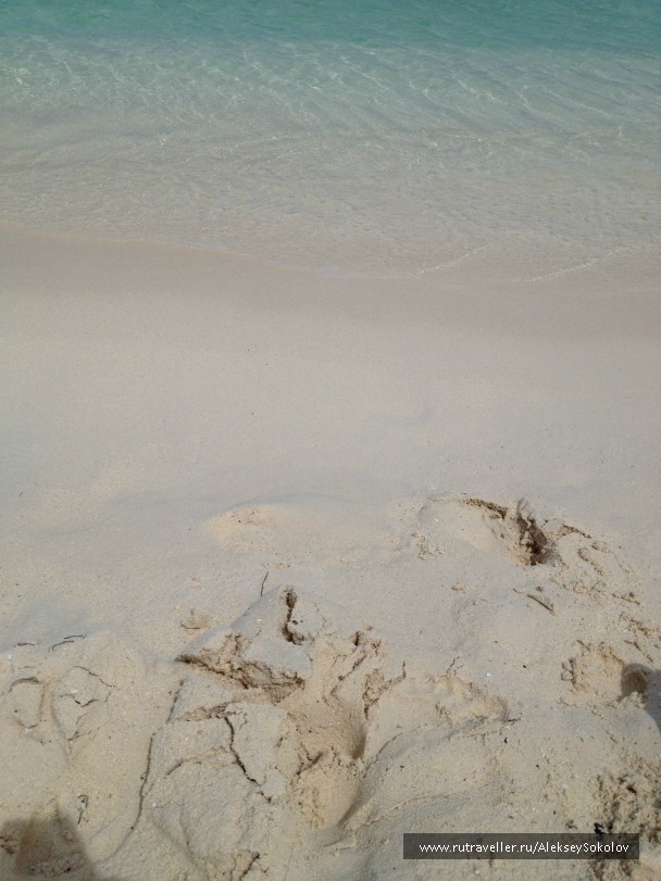 photo 853740