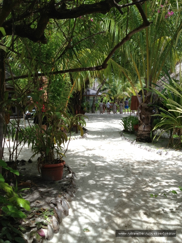 photo 853742