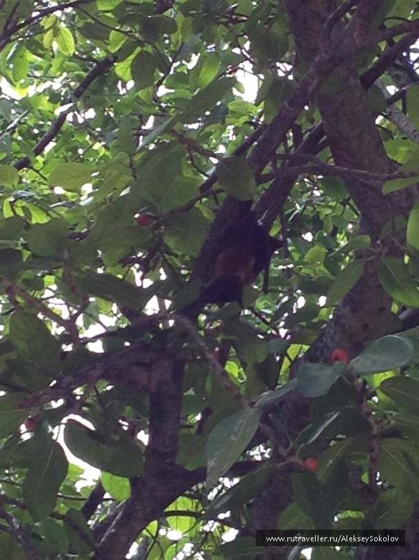 photo 853744