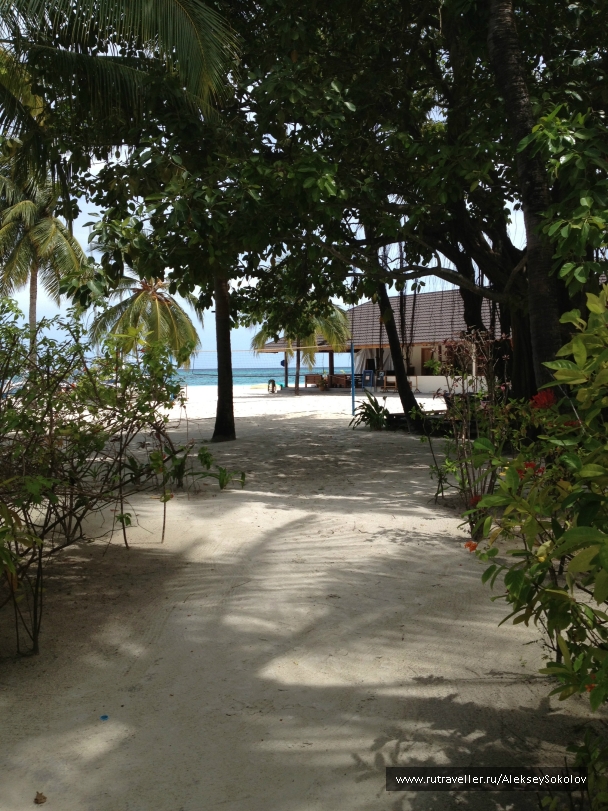photo 853745