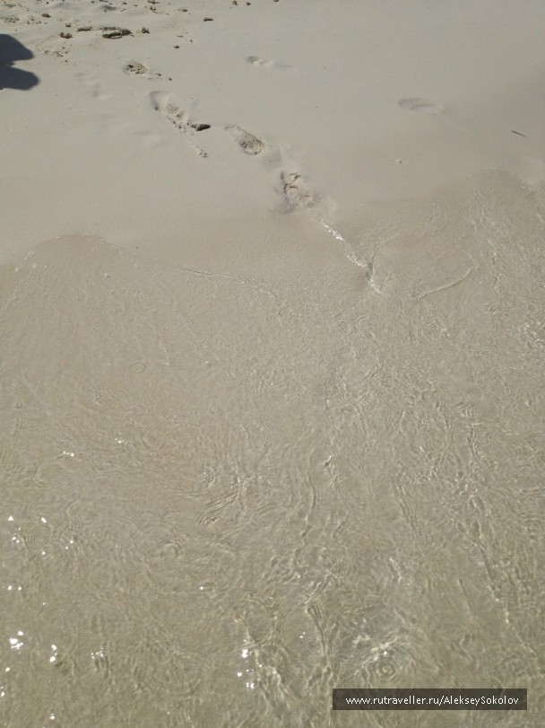 photo 853756
