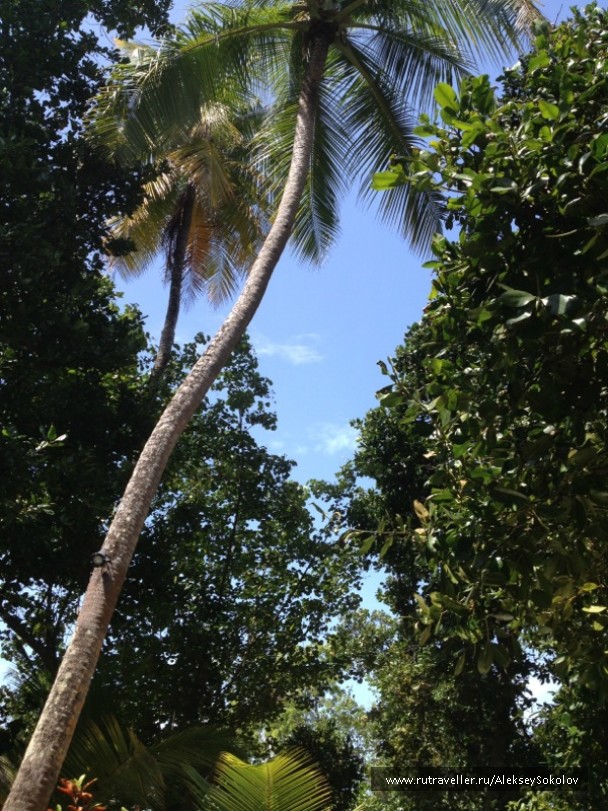 photo 853758