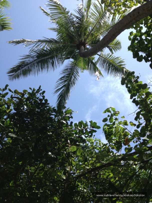 photo 853760
