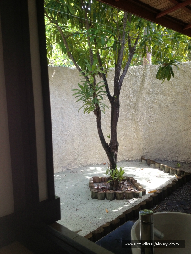 photo 853770