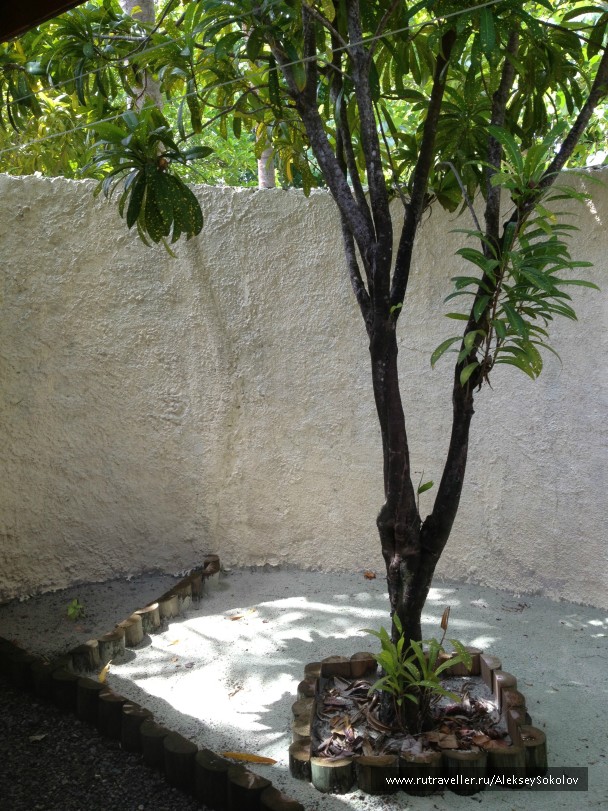 photo 853773
