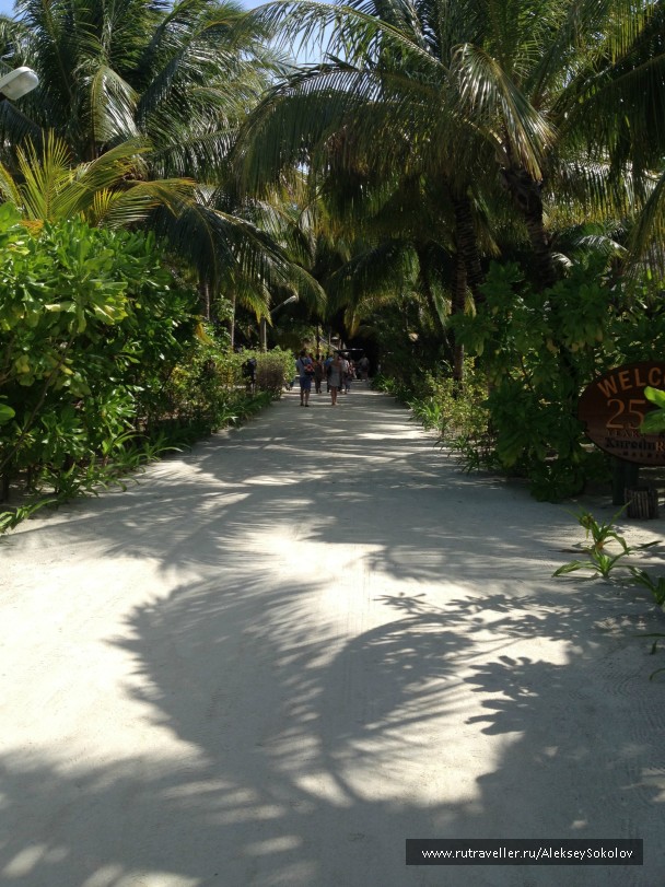 photo 853778