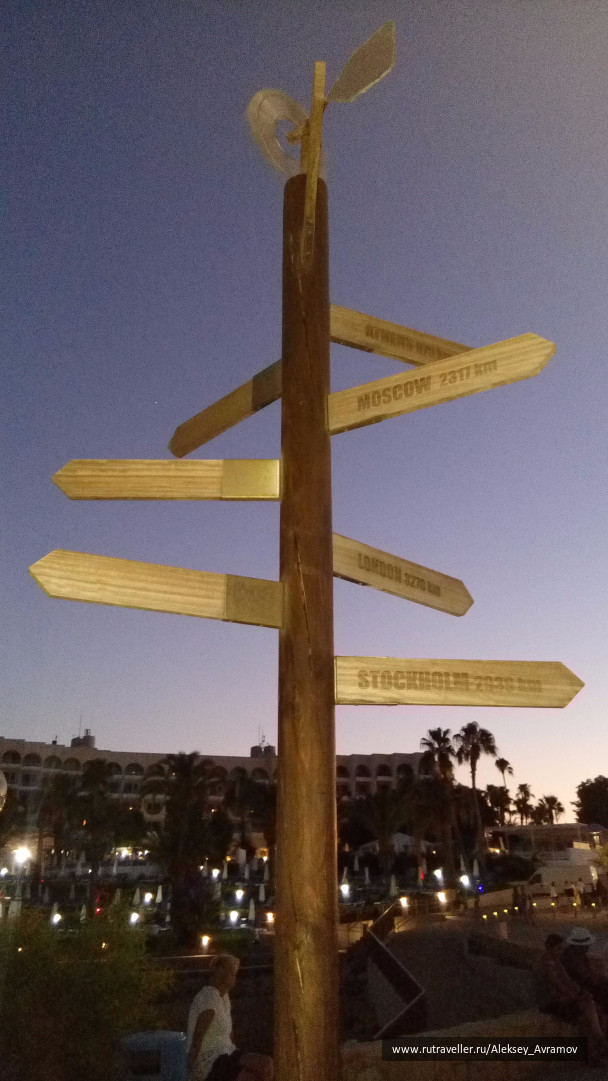 photo 1516454