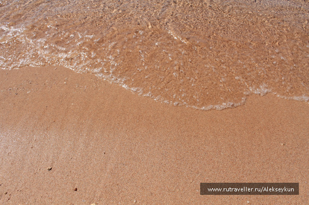 photo 444275