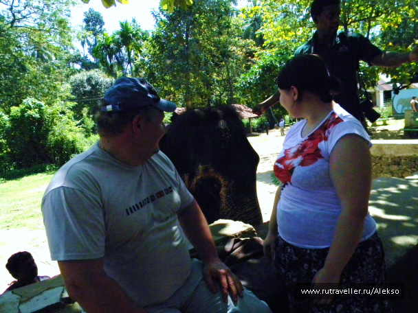 photo 294877