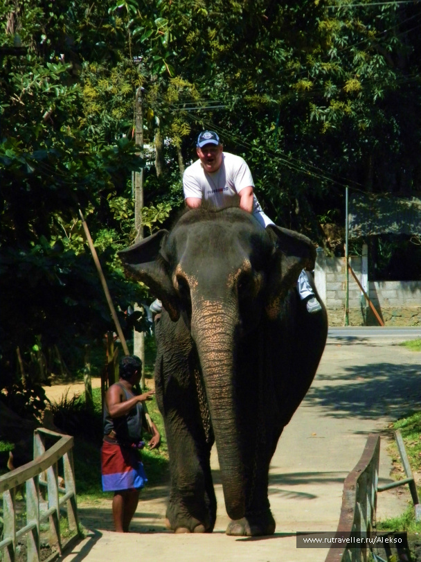 photo 294879