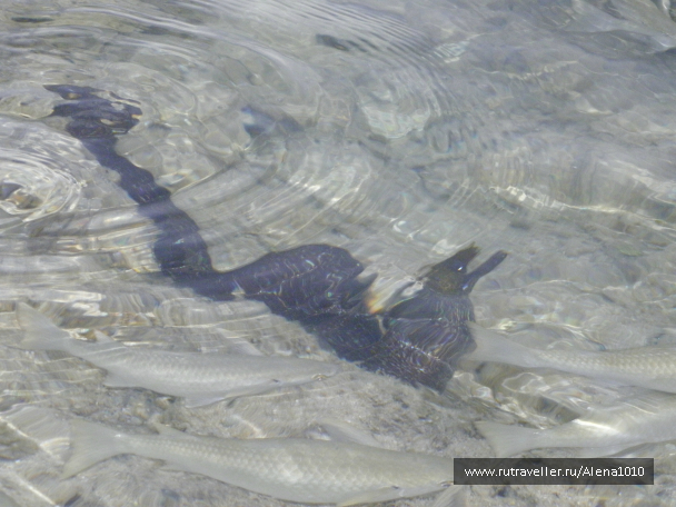 photo 655567