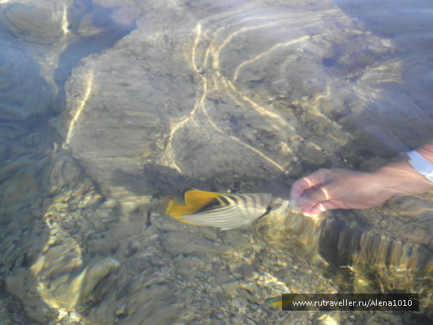 photo 655571