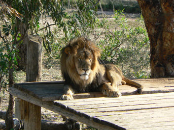 photo 463851